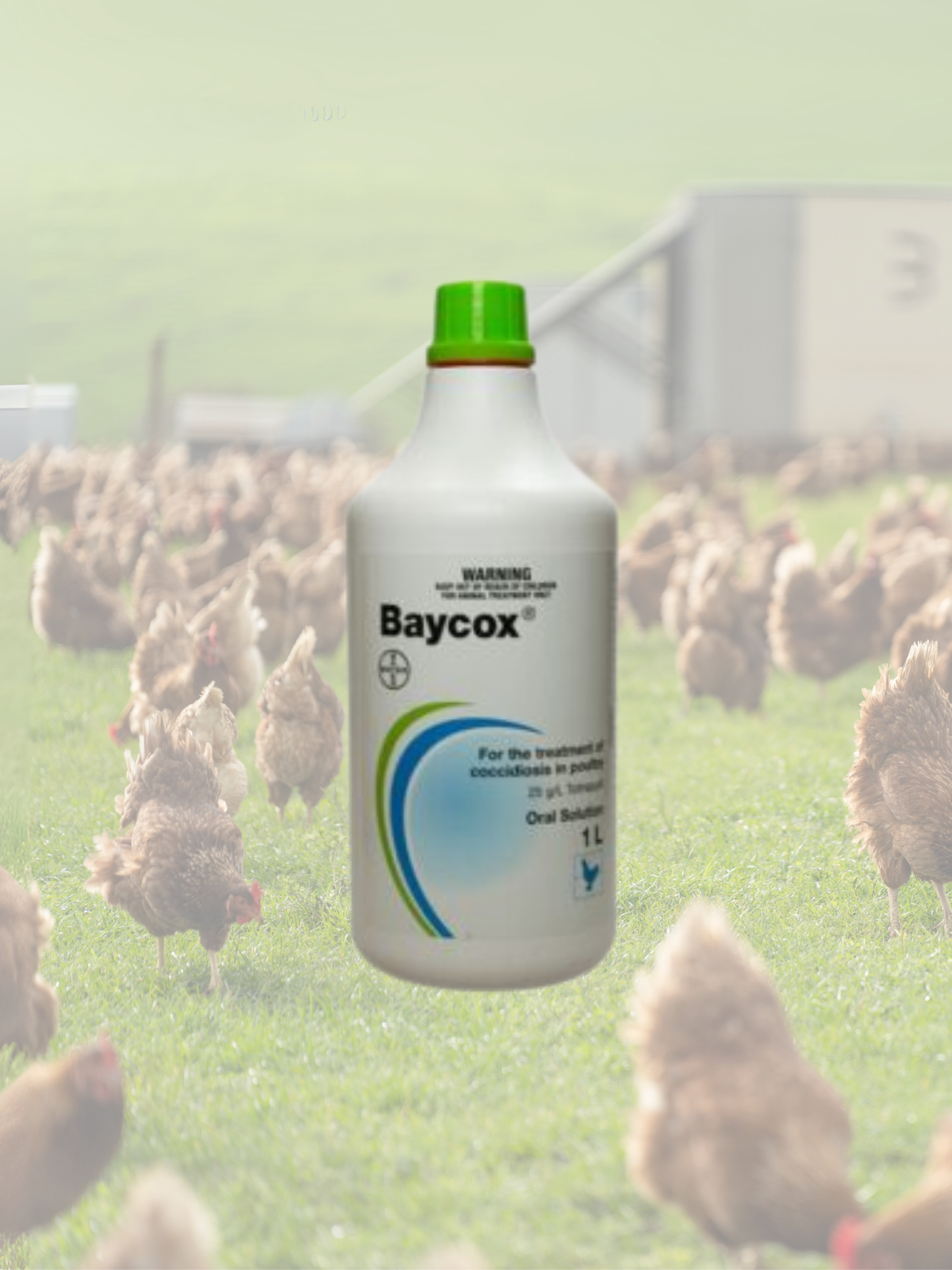 Baycox - 1L